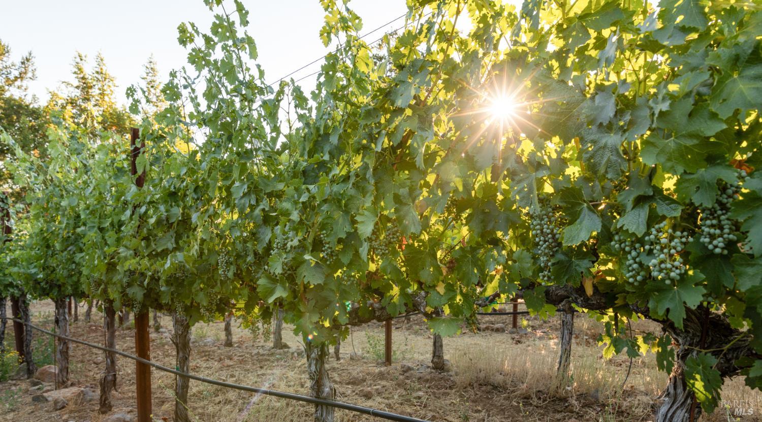 Detail Gallery Image 6 of 7 For 0 Aetna Springs Ln, Pope Valley,  CA 94567 - – Beds | – Baths