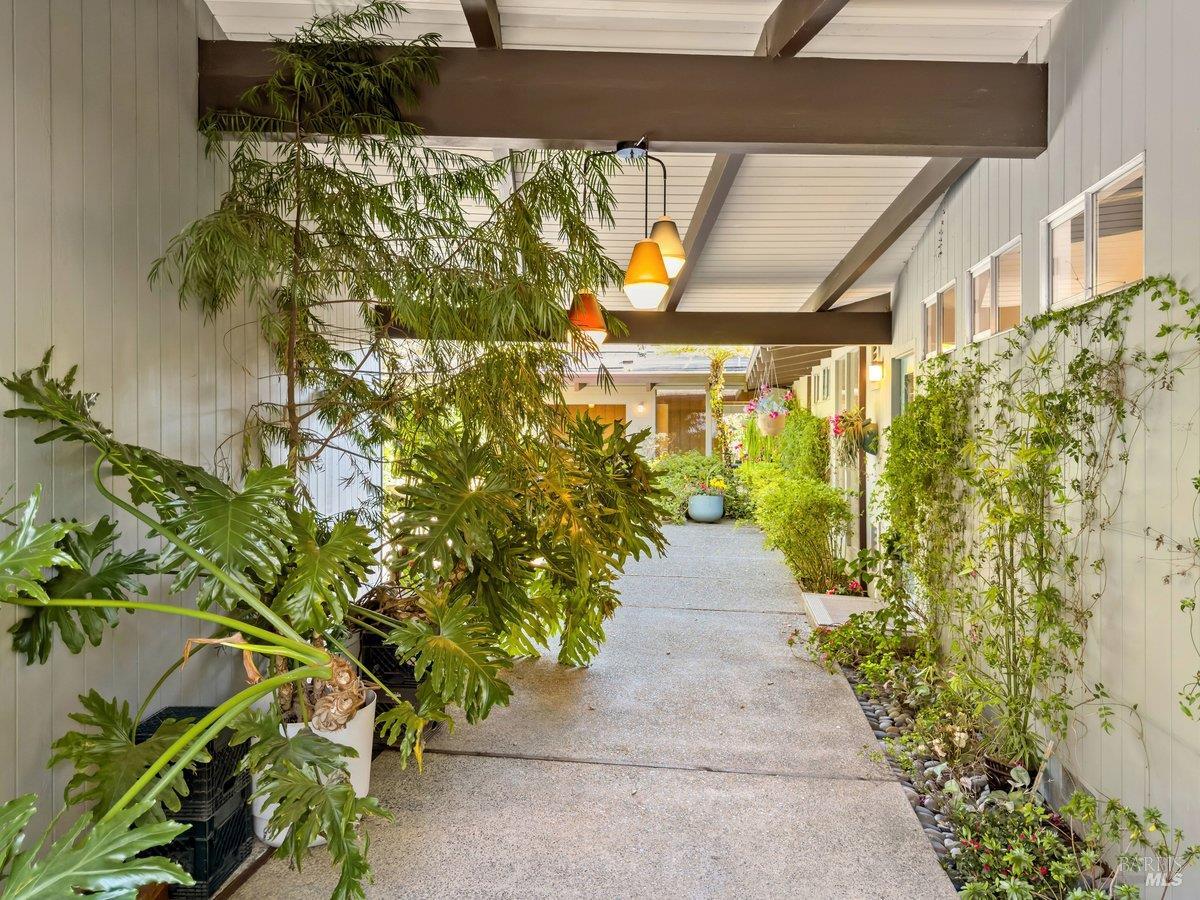 Detail Gallery Image 45 of 58 For 5 Mather Rd, San Anselmo,  CA 94960 - 5 Beds | 2 Baths