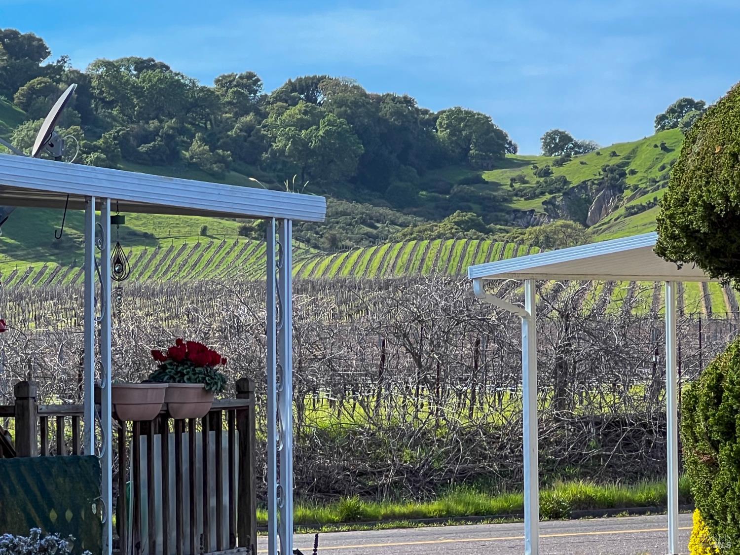 Detail Gallery Image 6 of 66 For 145 Bear Flag Rd, Sonoma,  CA 95476 - 3 Beds | 2 Baths