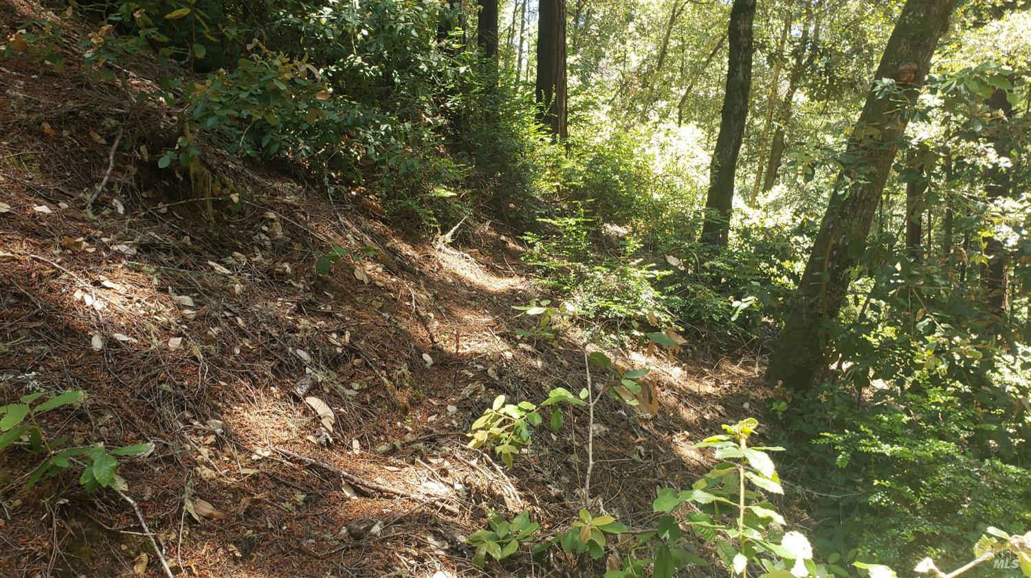 Detail Gallery Image 13 of 18 For 18190 Old Monte Rio Rd, Guerneville,  CA 95446 - – Beds | – Baths