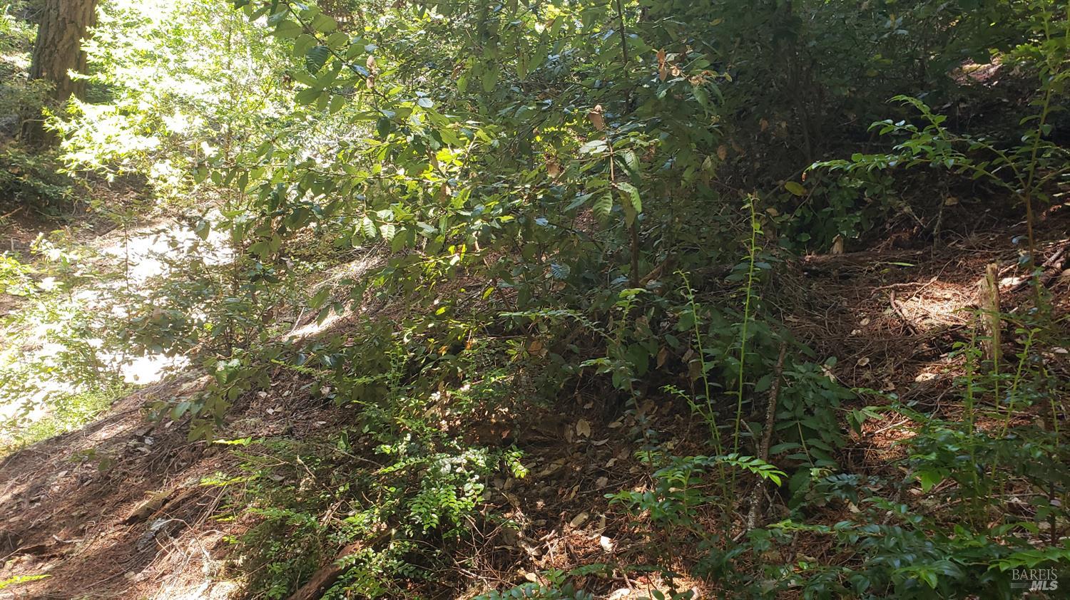 Detail Gallery Image 15 of 18 For 18190 Old Monte Rio Rd, Guerneville,  CA 95446 - – Beds | – Baths