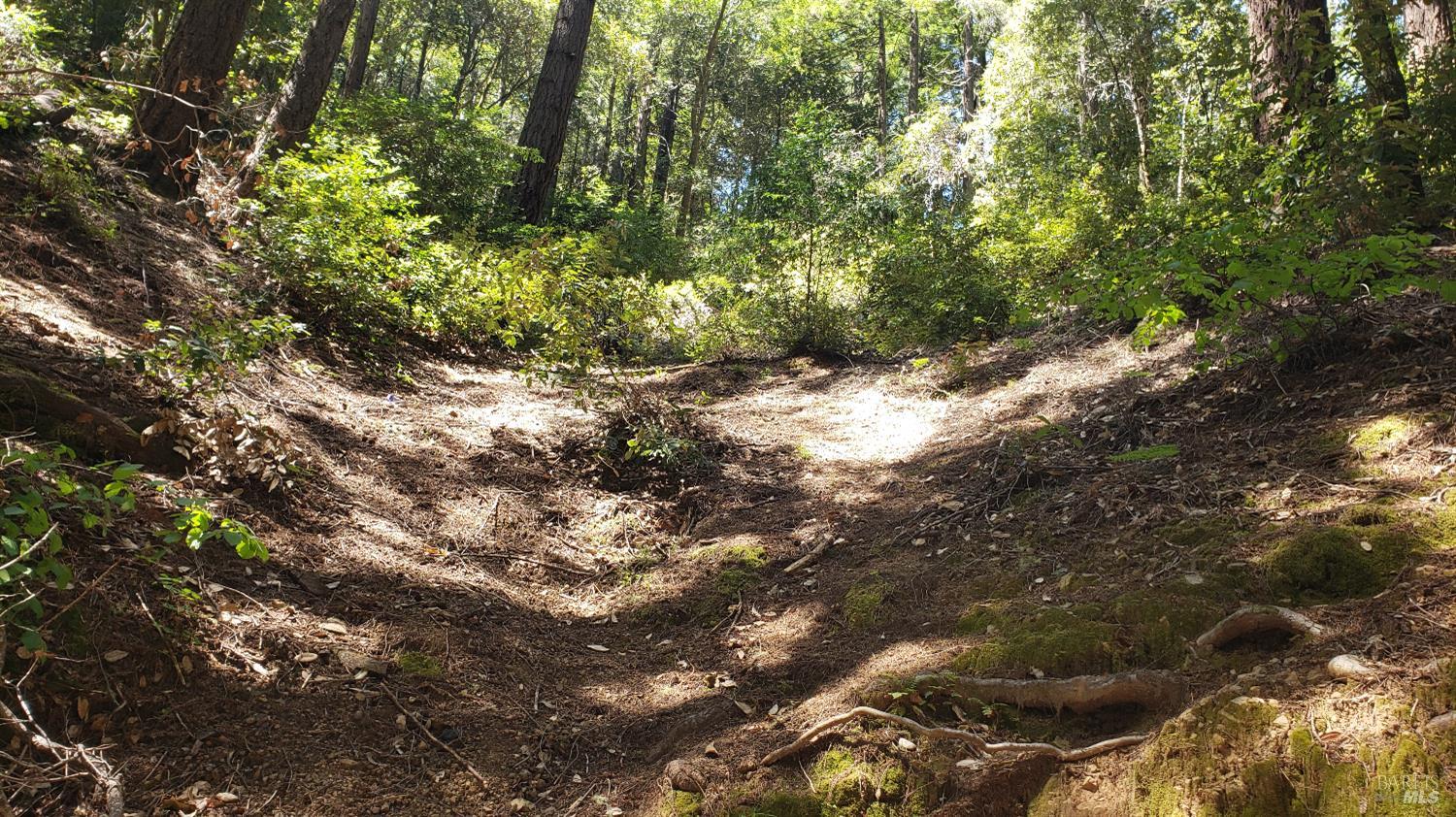 Front Image Thumbnail for BA326019561