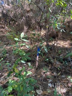 Detail Gallery Image 20 of 24 For 36359 Timber Ridge Rd, The Sea Ranch,  CA 95497 - – Beds | – Baths