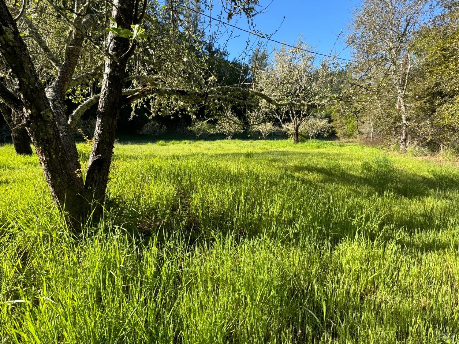 Detail Gallery Image 2 of 11 For 2660 Wallace Creek Rd, Healdsburg,  CA 95448 - – Beds | – Baths