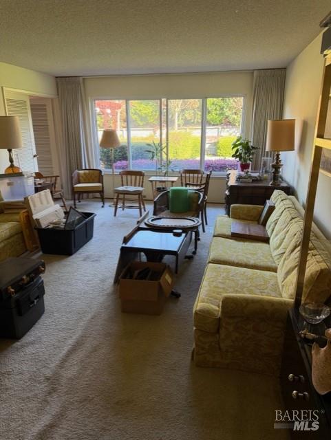 Detail Gallery Image 13 of 15 For 48 Clemente Ct, Novato,  CA 94945 - 4 Beds | 2 Baths