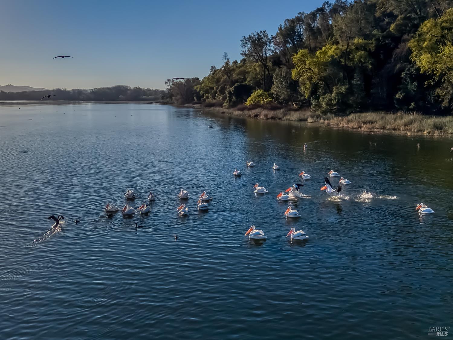 Detail Gallery Image 73 of 82 For 5740 Sunrise Dr, Lower Lake,  CA 95457 - 3 Beds | 2 Baths