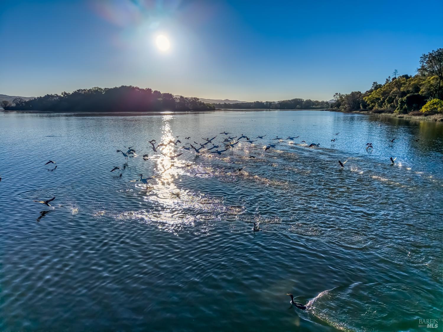 Detail Gallery Image 76 of 82 For 5740 Sunrise Dr, Lower Lake,  CA 95457 - 3 Beds | 2 Baths