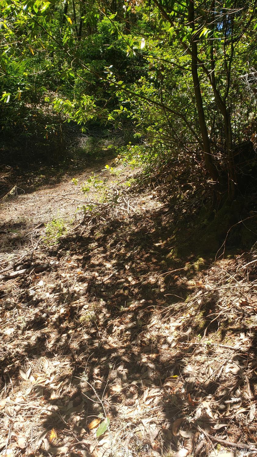 Detail Gallery Image 9 of 18 For 18190 Old Monte Rio Rd, Guerneville,  CA 95446 - – Beds | – Baths