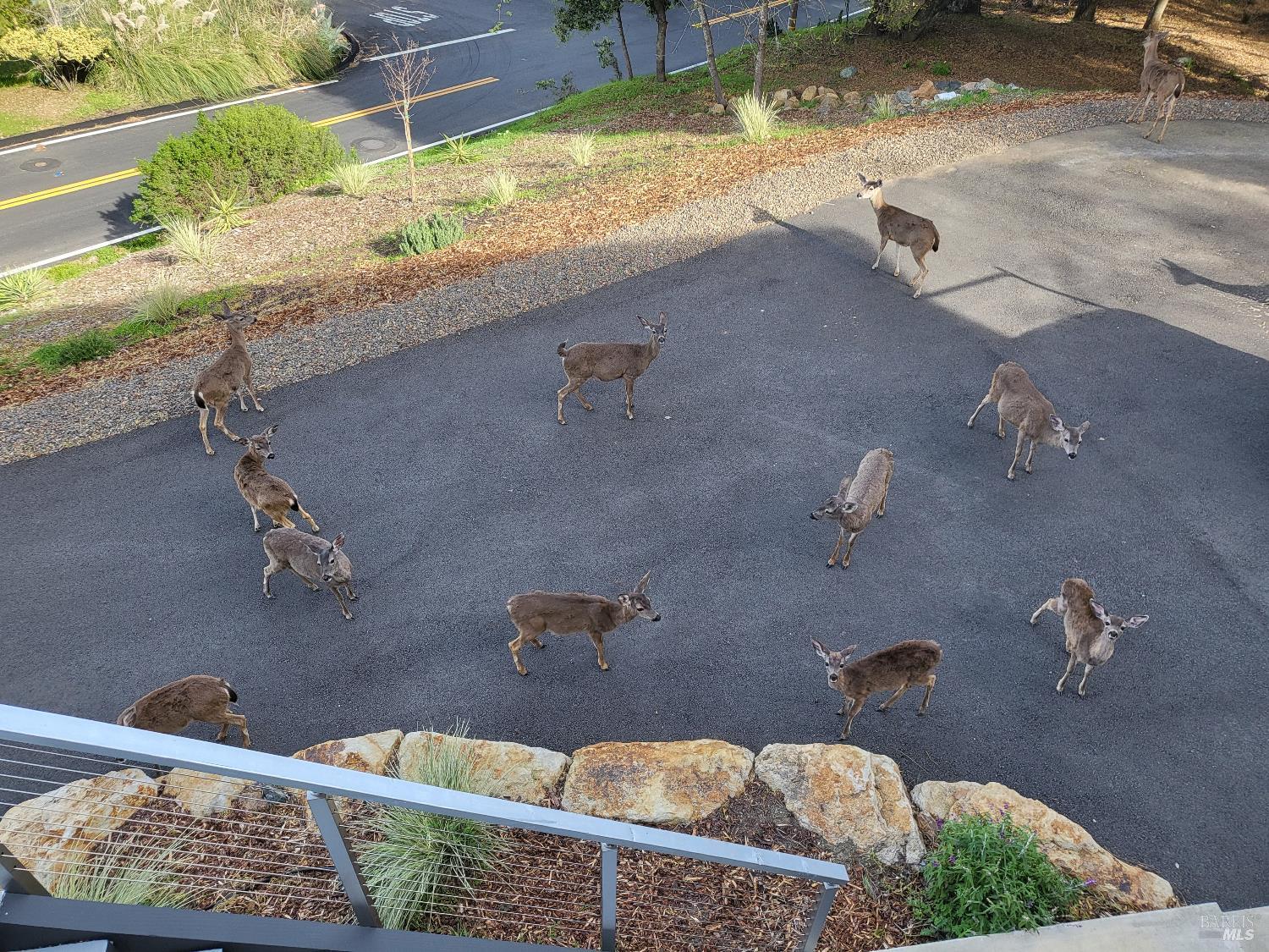 Detail Gallery Image 6 of 48 For 10 Ridgecrest Dr, Napa,  CA 94558 - – Beds | – Baths