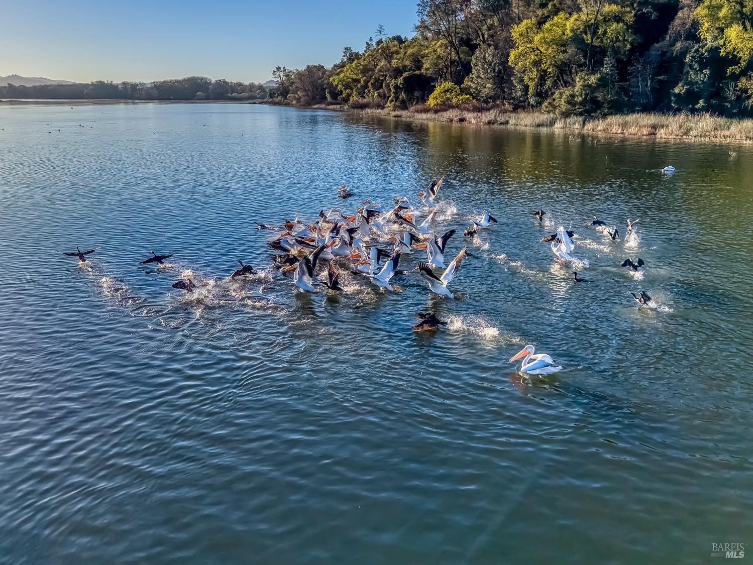 Detail Gallery Image 79 of 82 For 5740 Sunrise Dr, Lower Lake,  CA 95457 - 3 Beds | 2 Baths