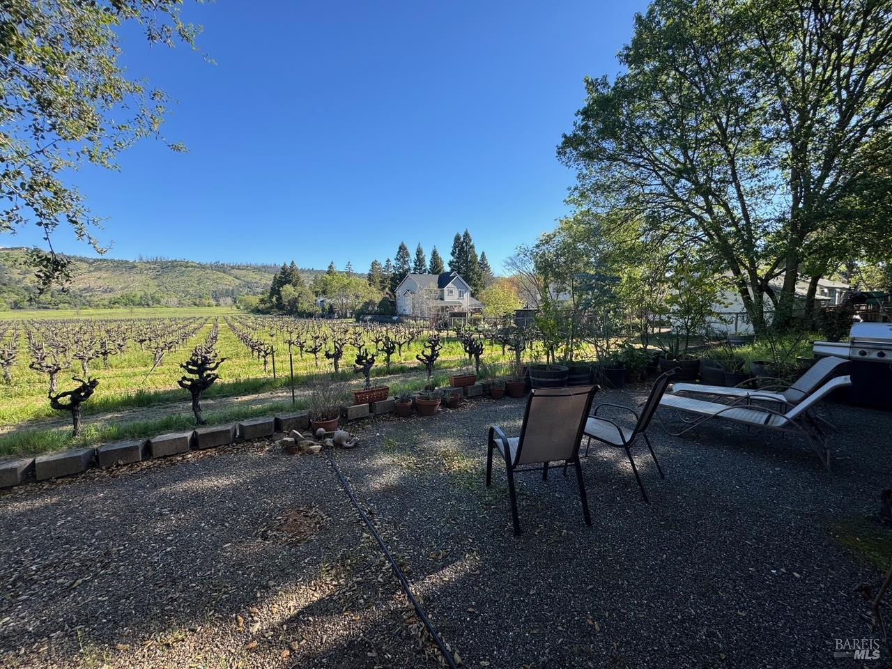 Detail Gallery Image 9 of 26 For 1328 Monte Vista Ave, Saint Helena,  CA 94574 - – Beds | – Baths