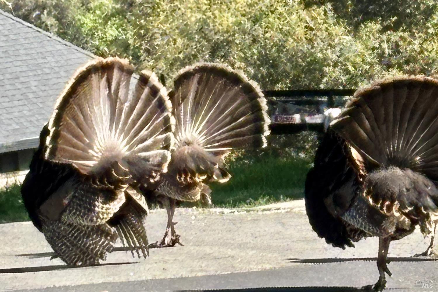 Detail Gallery Image 38 of 48 For 10 Ridgecrest Dr, Napa,  CA 94558 - – Beds | – Baths