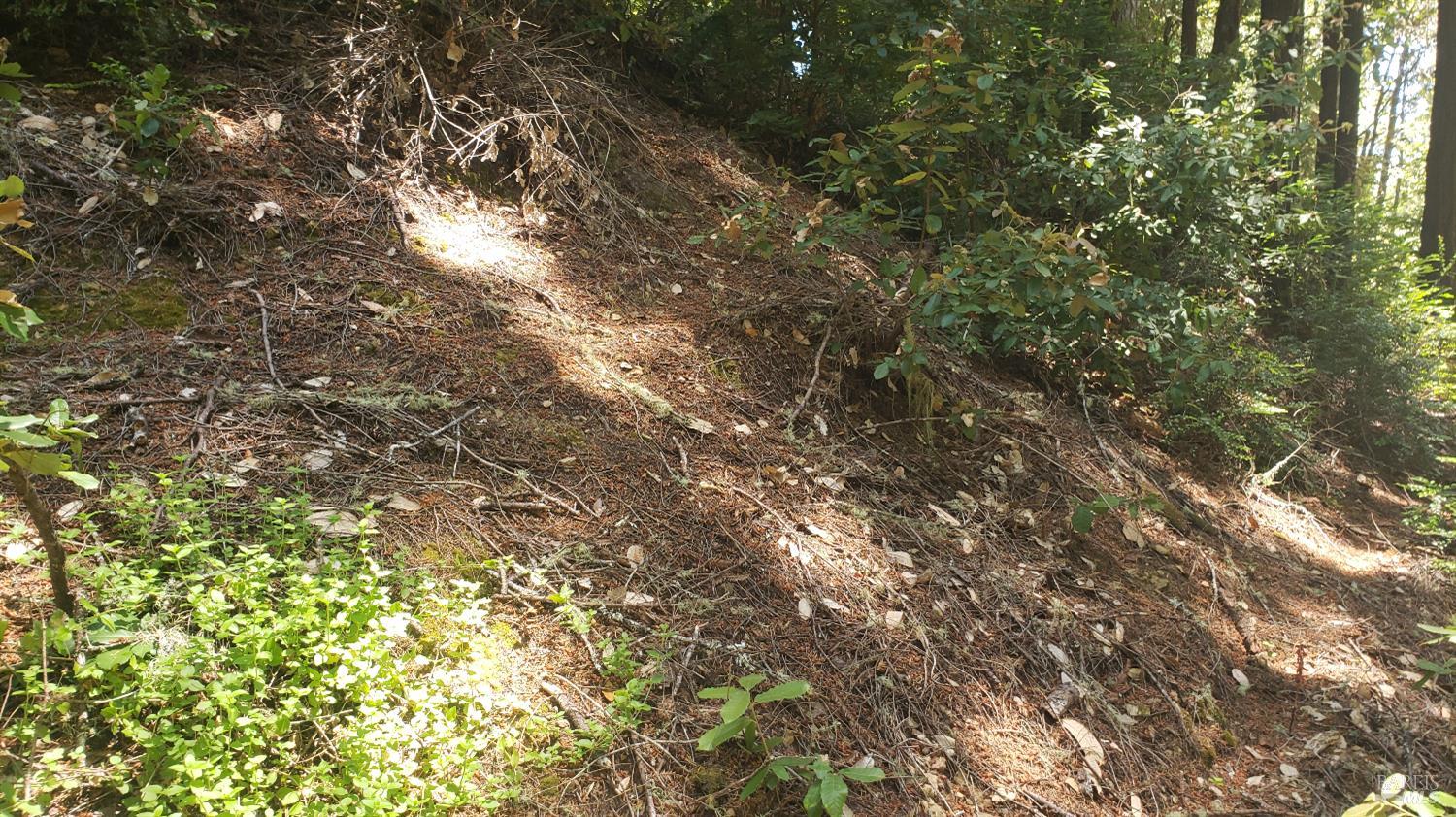 Detail Gallery Image 12 of 18 For 18190 Old Monte Rio Rd, Guerneville,  CA 95446 - – Beds | – Baths