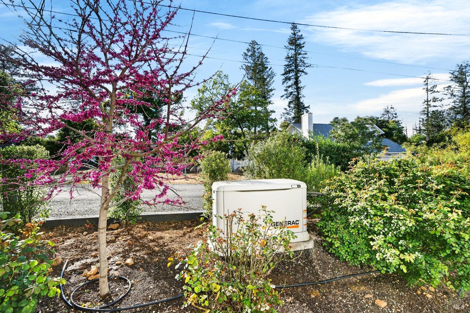 Detail Gallery Image 78 of 86 For 16 Upland Rd, Saint Helena,  CA 94574 - 4 Beds | 4/2 Baths