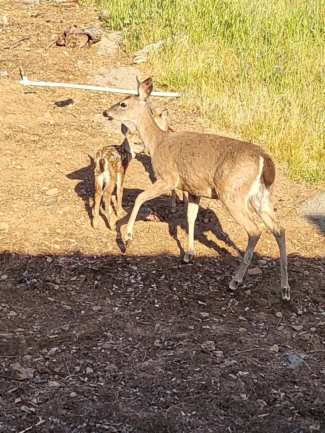 Detail Gallery Image 34 of 48 For 10 Ridgecrest Dr, Napa,  CA 94558 - – Beds | – Baths