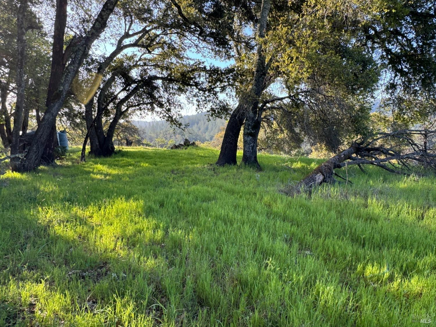 Detail Gallery Image 7 of 11 For 2660 Wallace Creek Rd, Healdsburg,  CA 95448 - – Beds | – Baths