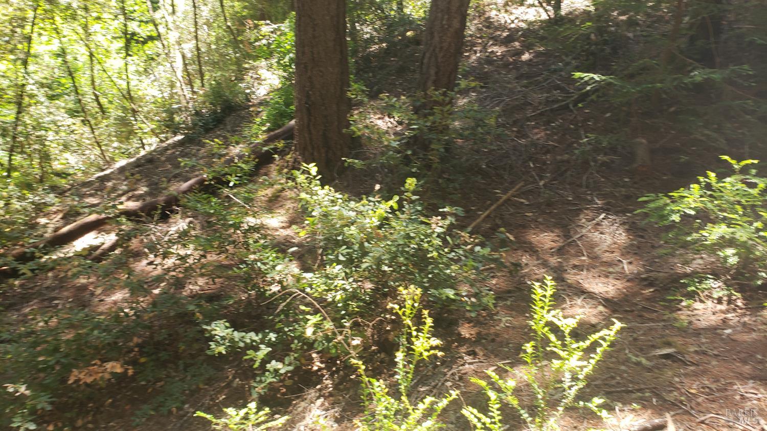 Detail Gallery Image 11 of 18 For 18190 Old Monte Rio Rd, Guerneville,  CA 95446 - – Beds | – Baths