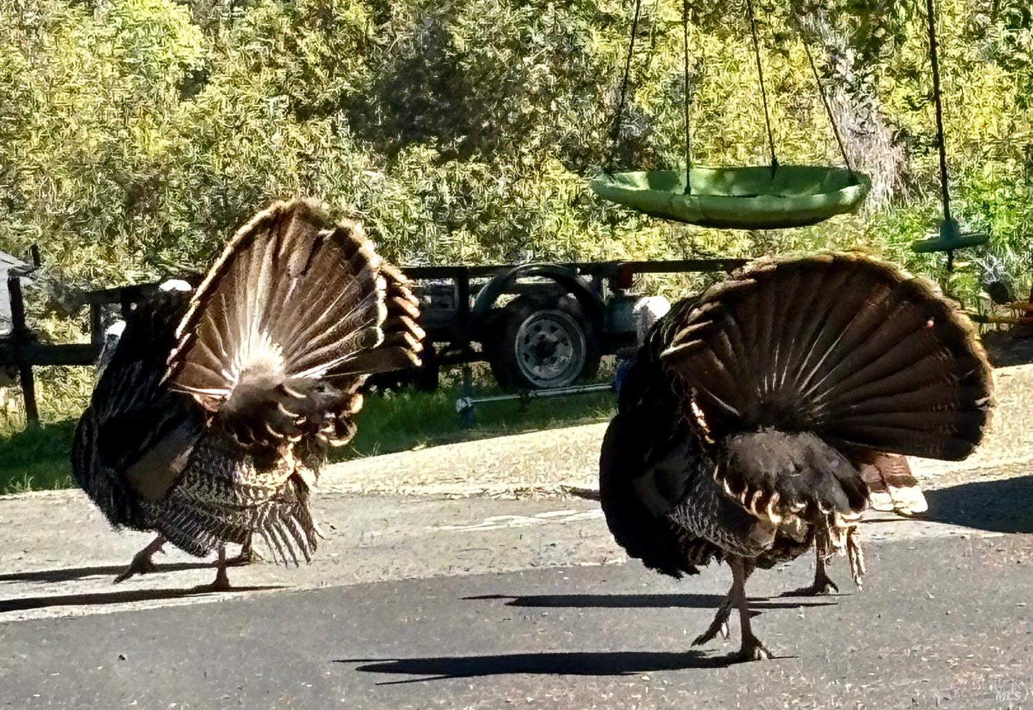 Detail Gallery Image 41 of 48 For 10 Ridgecrest Dr, Napa,  CA 94558 - – Beds | – Baths