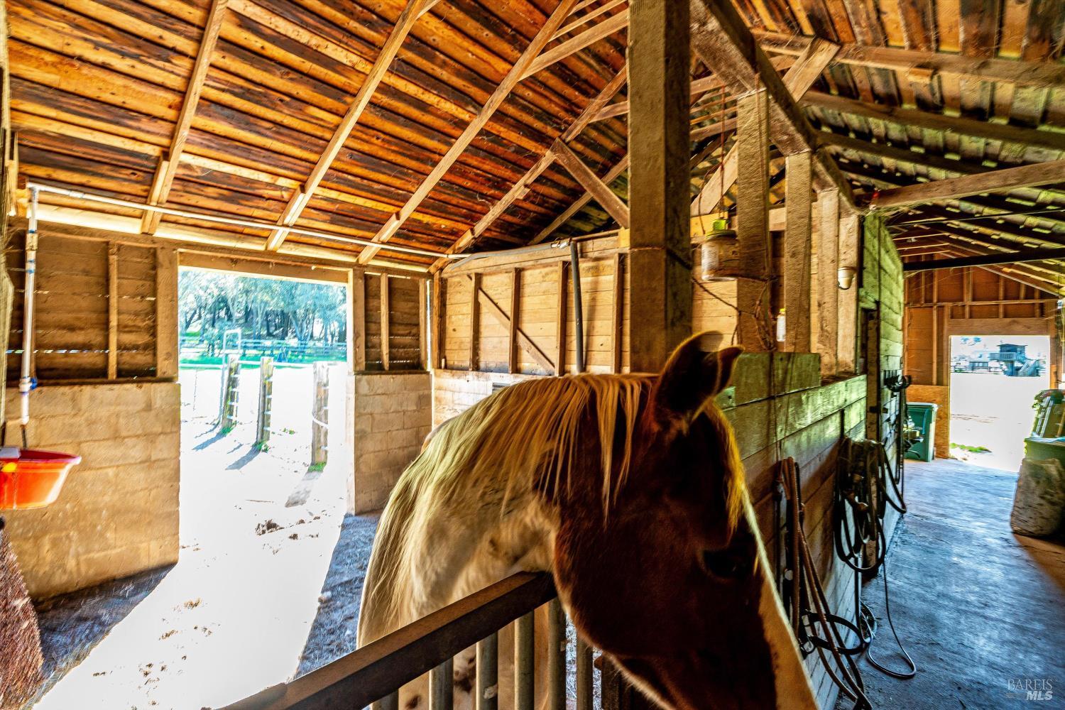 Detail Gallery Image 55 of 70 For 3061 North Ave, Napa,  CA 94558 - 3 Beds | 2 Baths