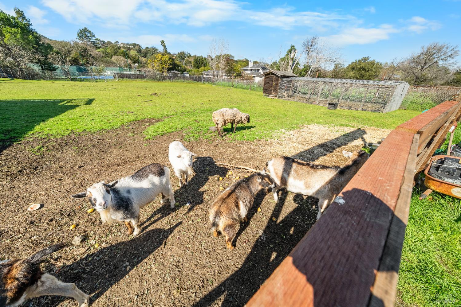 Detail Gallery Image 22 of 48 For 8 Circle Rd, San Rafael,  CA 94903 - – Beds | – Baths