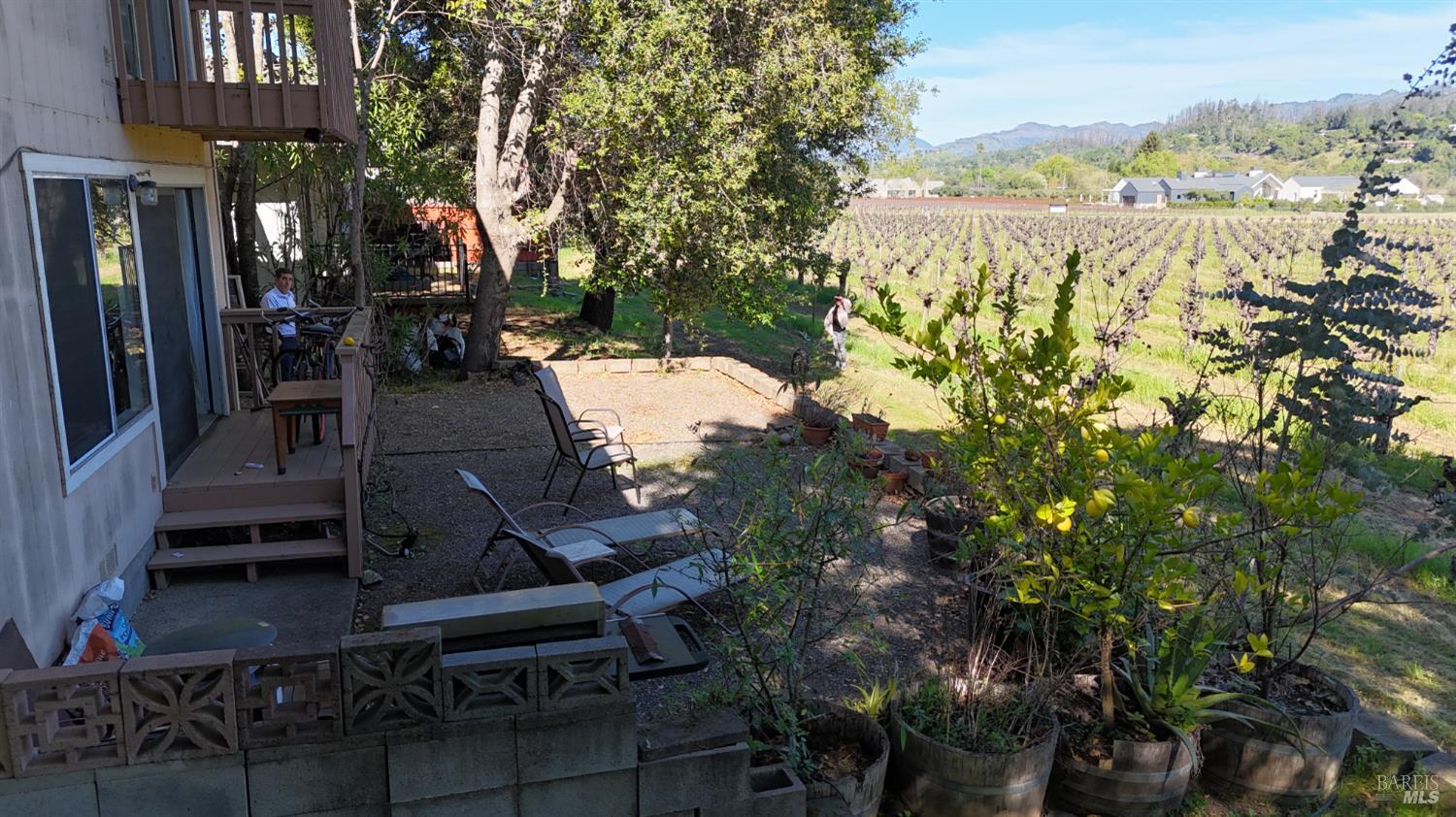 Detail Gallery Image 7 of 26 For 1328 Monte Vista Ave, Saint Helena,  CA 94574 - – Beds | – Baths