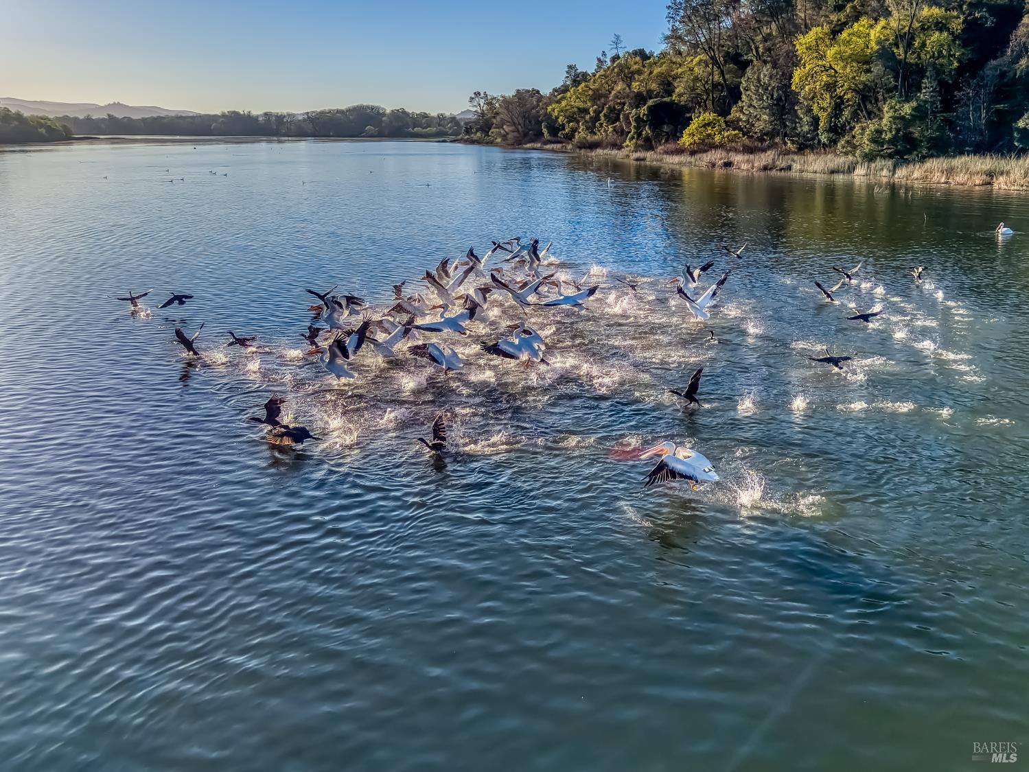 Detail Gallery Image 74 of 82 For 5740 Sunrise Dr, Lower Lake,  CA 95457 - 3 Beds | 2 Baths