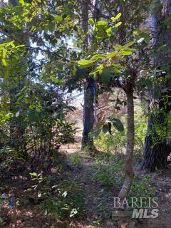 Detail Gallery Image 21 of 24 For 36359 Timber Ridge Rd, The Sea Ranch,  CA 95497 - – Beds | – Baths