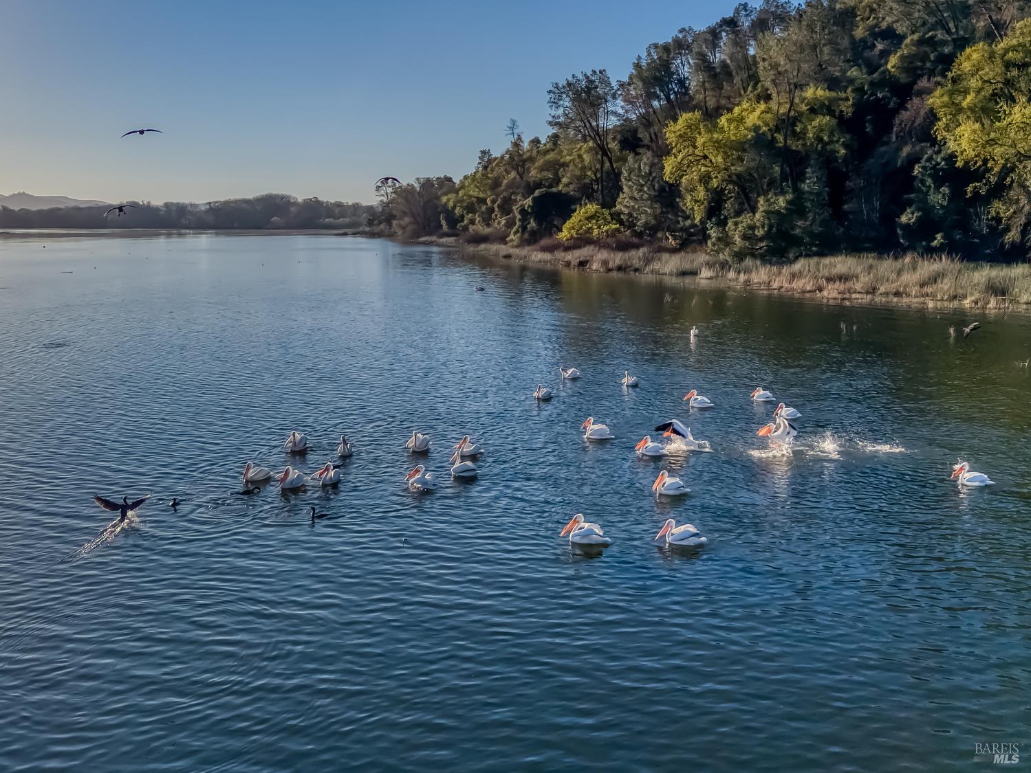 Detail Gallery Image 77 of 82 For 5740 Sunrise Dr, Lower Lake,  CA 95457 - 3 Beds | 2 Baths