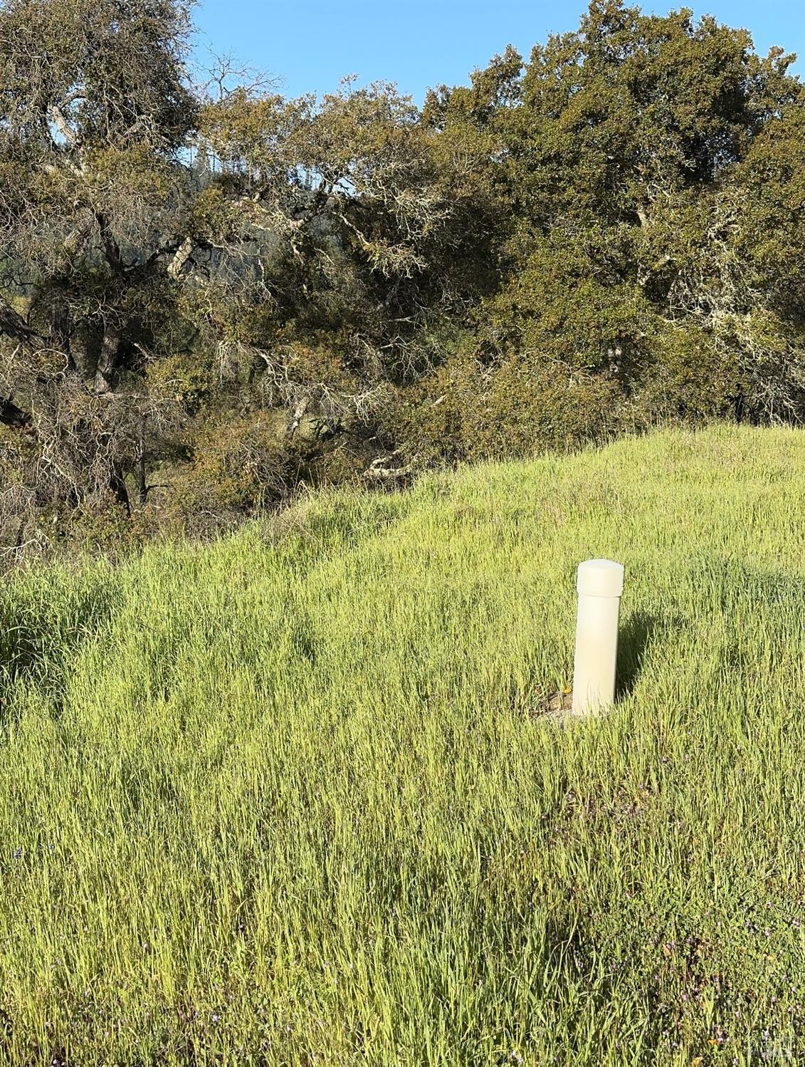 Detail Gallery Image 10 of 11 For 2660 Wallace Creek Rd, Healdsburg,  CA 95448 - – Beds | – Baths