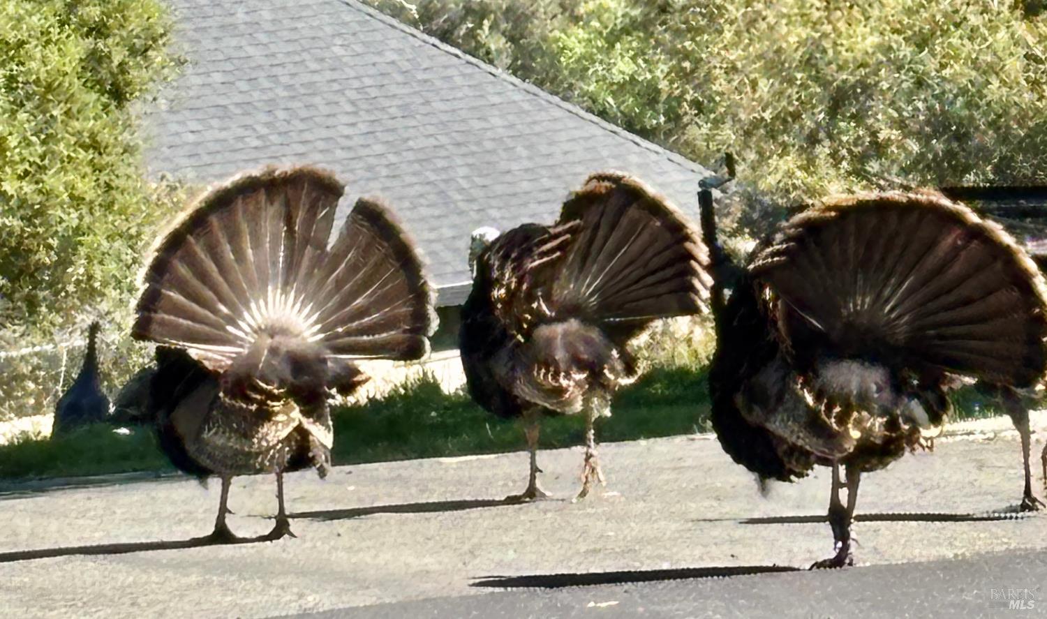 Detail Gallery Image 35 of 48 For 10 Ridgecrest Dr, Napa,  CA 94558 - – Beds | – Baths