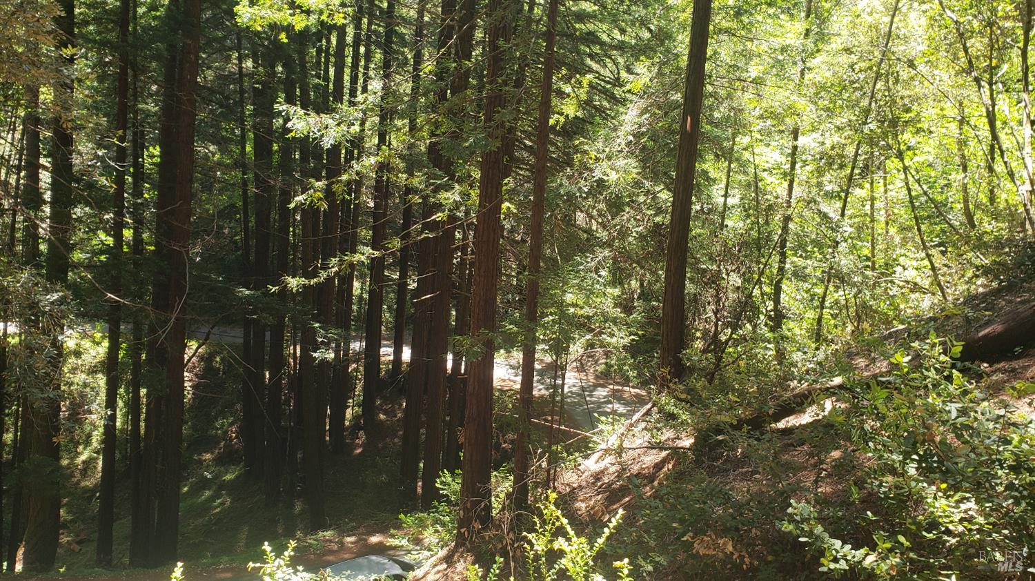 Detail Gallery Image 7 of 18 For 18190 Old Monte Rio Rd, Guerneville,  CA 95446 - – Beds | – Baths