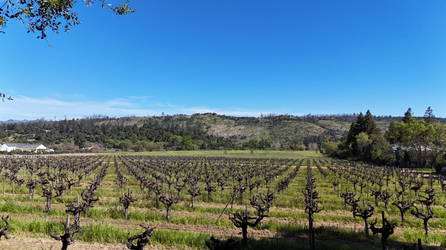 Detail Gallery Image 6 of 26 For 1328 Monte Vista Ave, Saint Helena,  CA 94574 - – Beds | – Baths