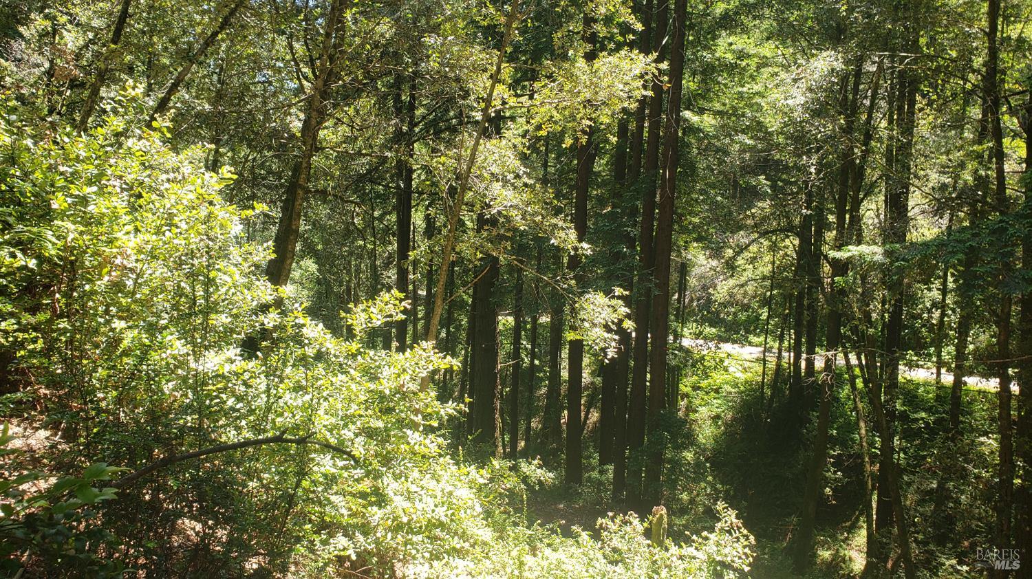 Detail Gallery Image 17 of 18 For 18190 Old Monte Rio Rd, Guerneville,  CA 95446 - – Beds | – Baths