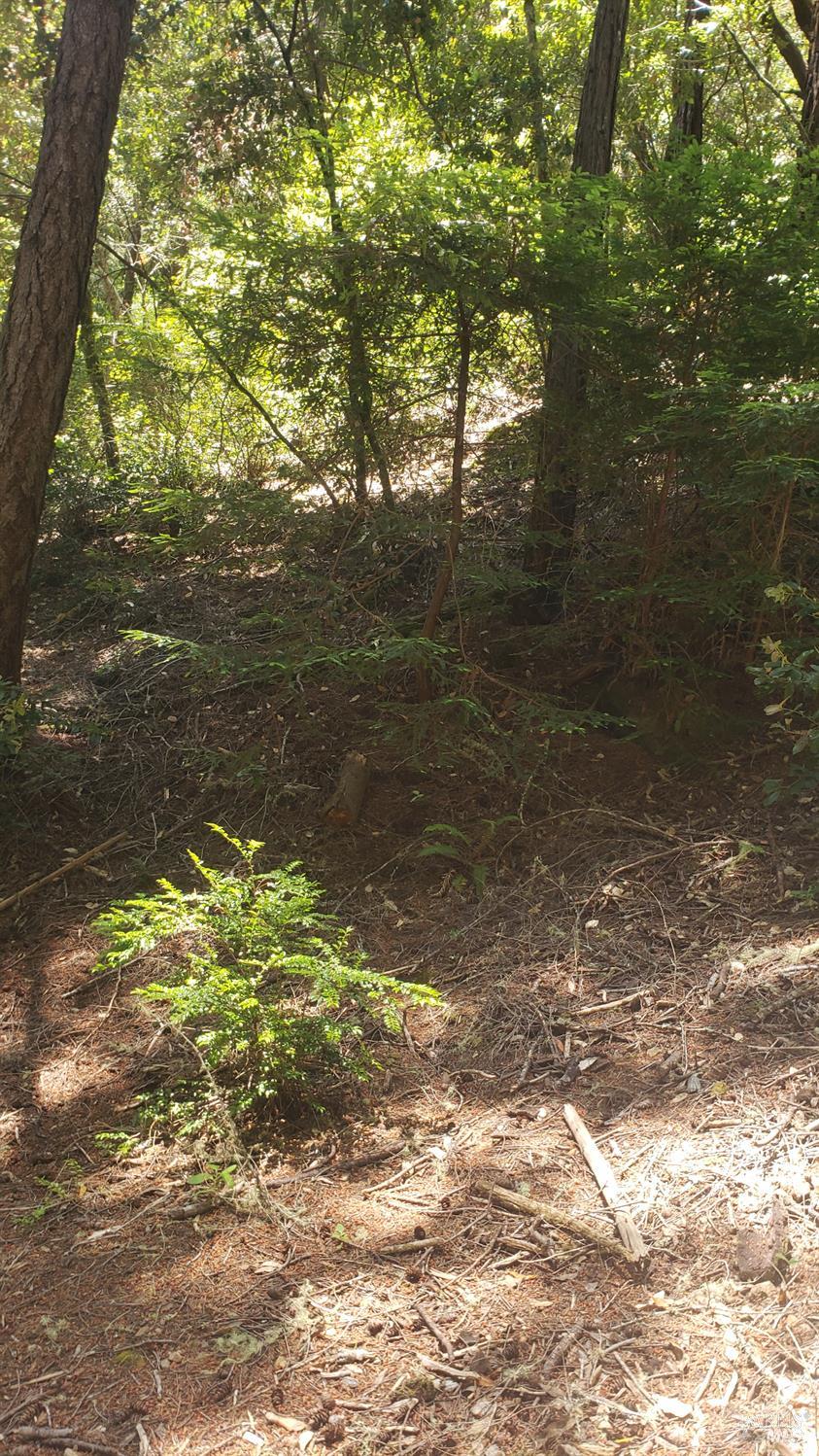 Detail Gallery Image 8 of 18 For 18190 Old Monte Rio Rd, Guerneville,  CA 95446 - – Beds | – Baths