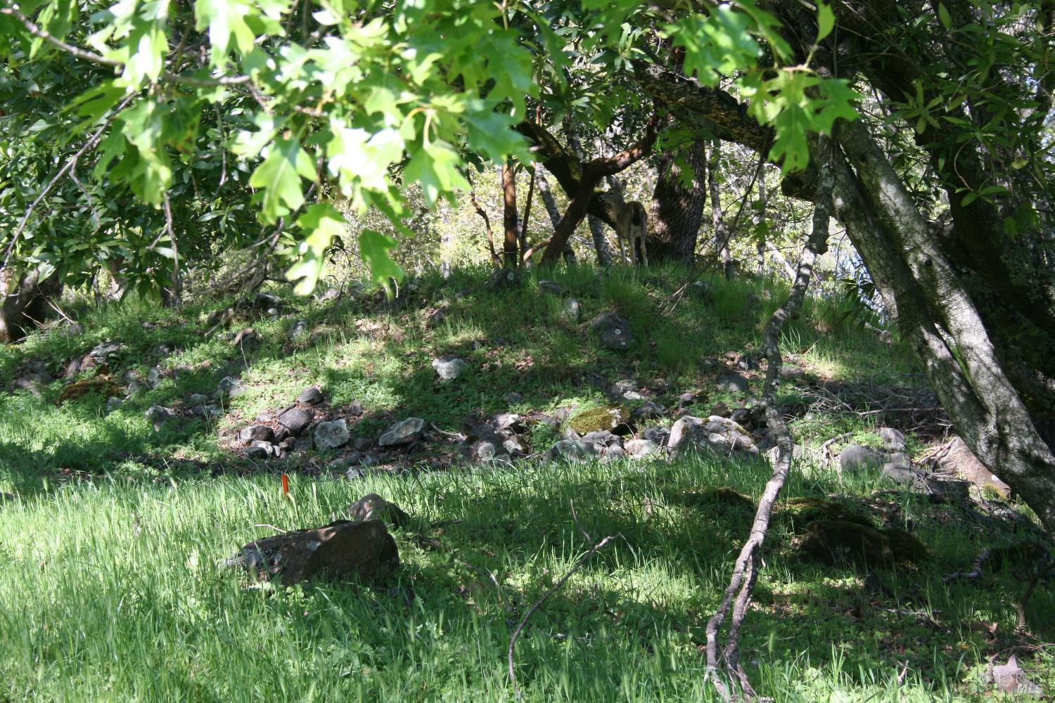 Detail Gallery Image 17 of 48 For 10 Ridgecrest Dr, Napa,  CA 94558 - – Beds | – Baths