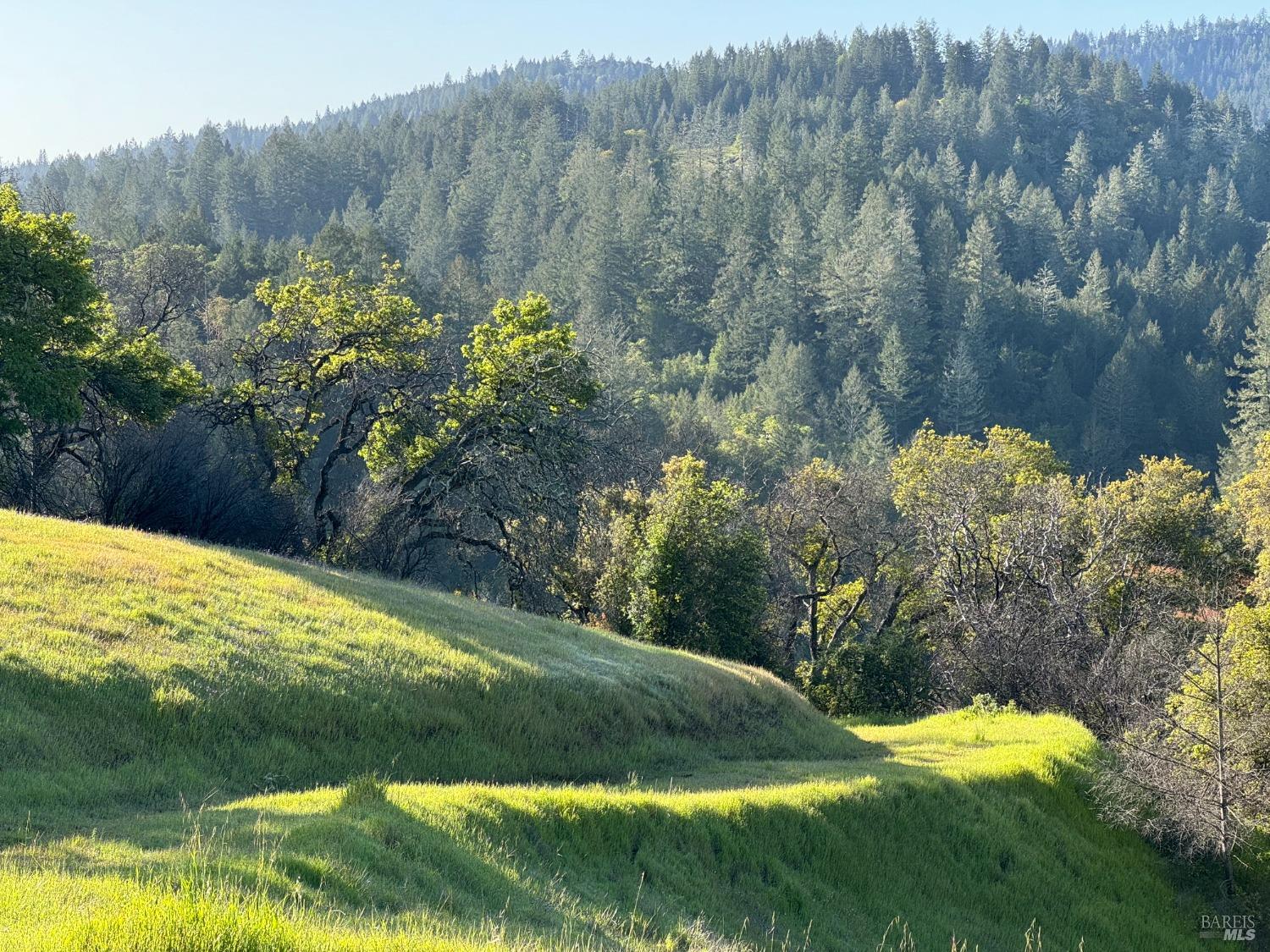 Detail Gallery Image 6 of 11 For 2660 Wallace Creek Rd, Healdsburg,  CA 95448 - – Beds | – Baths