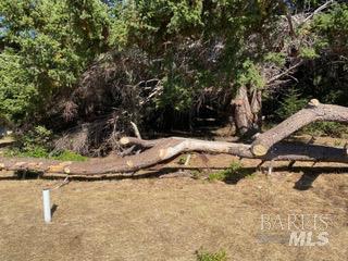 Detail Gallery Image 16 of 24 For 36359 Timber Ridge Rd, The Sea Ranch,  CA 95497 - – Beds | – Baths