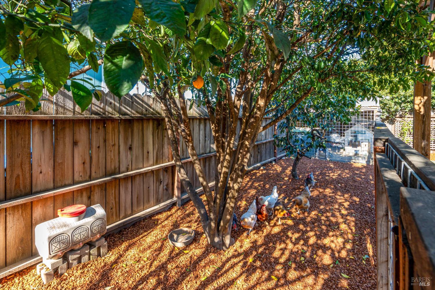 Detail Gallery Image 33 of 35 For 4423 Dove Ct, Napa,  CA 94558 - 3 Beds | 2 Baths