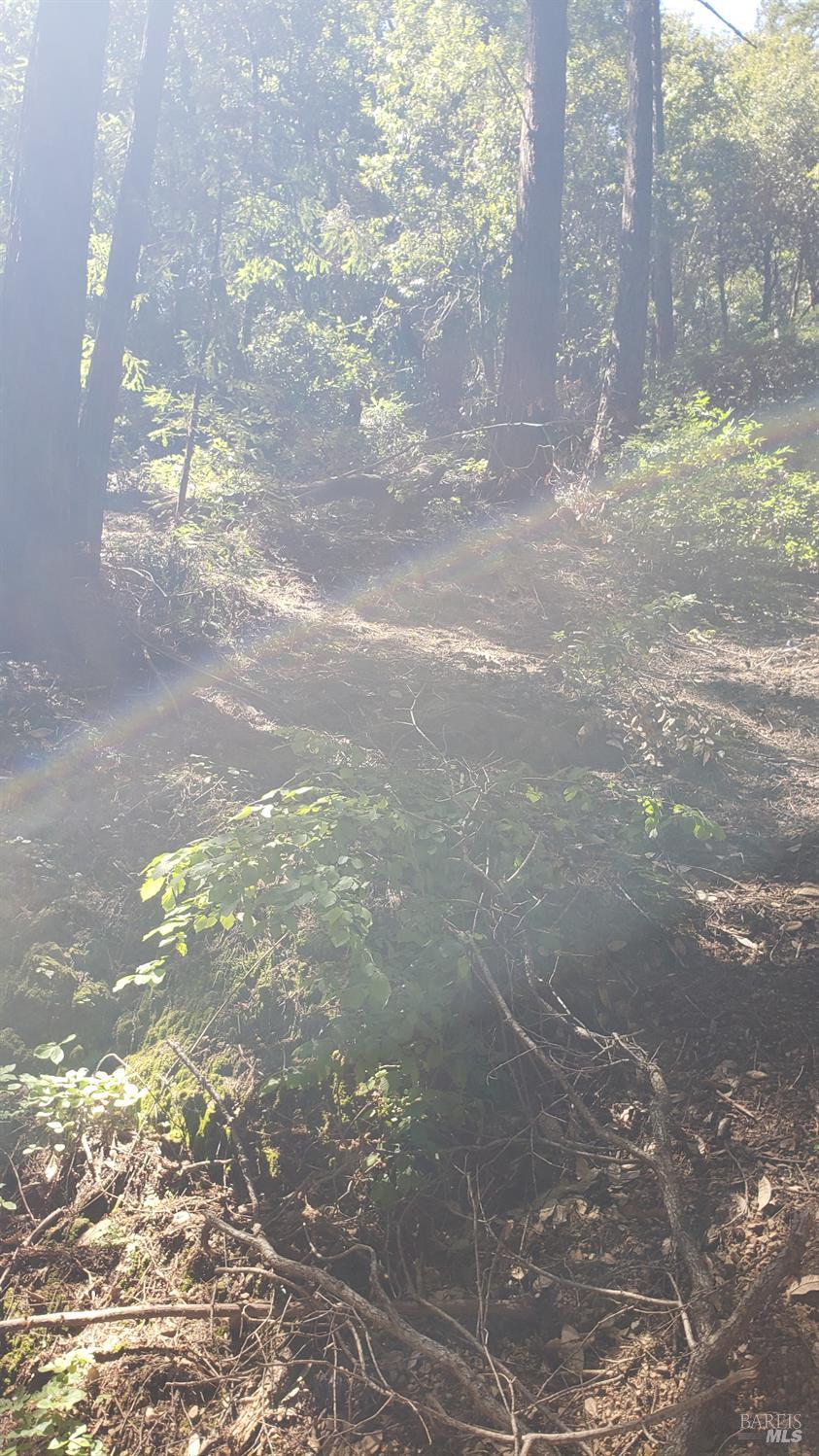 Detail Gallery Image 5 of 18 For 18190 Old Monte Rio Rd, Guerneville,  CA 95446 - – Beds | – Baths