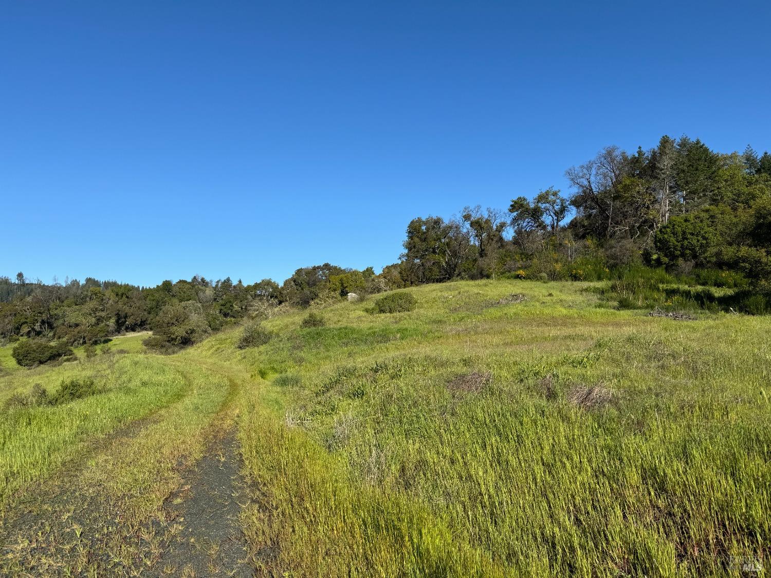 Detail Gallery Image 5 of 11 For 2660 Wallace Creek Rd, Healdsburg,  CA 95448 - – Beds | – Baths