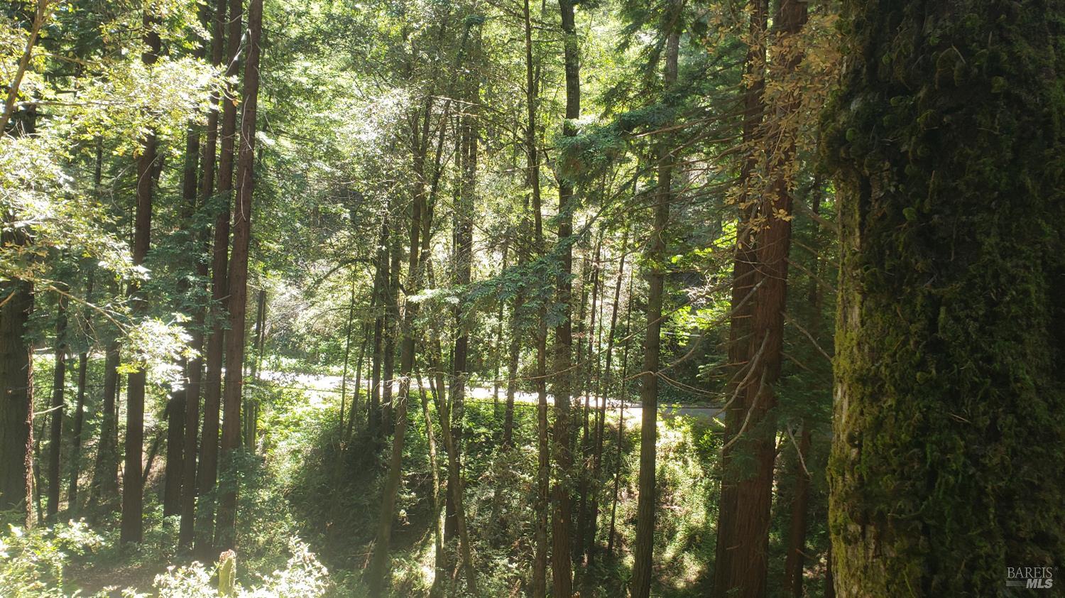 Detail Gallery Image 16 of 18 For 18190 Old Monte Rio Rd, Guerneville,  CA 95446 - – Beds | – Baths