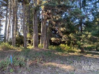 Detail Gallery Image 9 of 24 For 36359 Timber Ridge Rd, The Sea Ranch,  CA 95497 - – Beds | – Baths