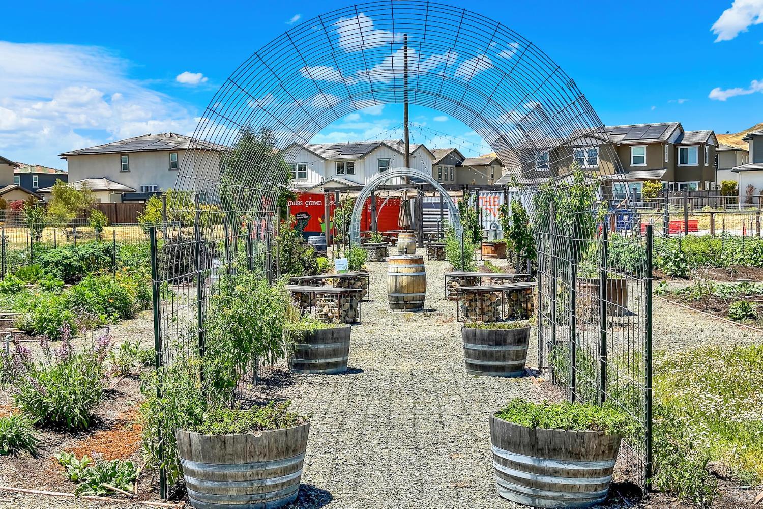 Detail Gallery Image 42 of 52 For 2456 Shore Vista Unkn, Fairfield,  CA 94533 - 3 Beds | 2 Baths