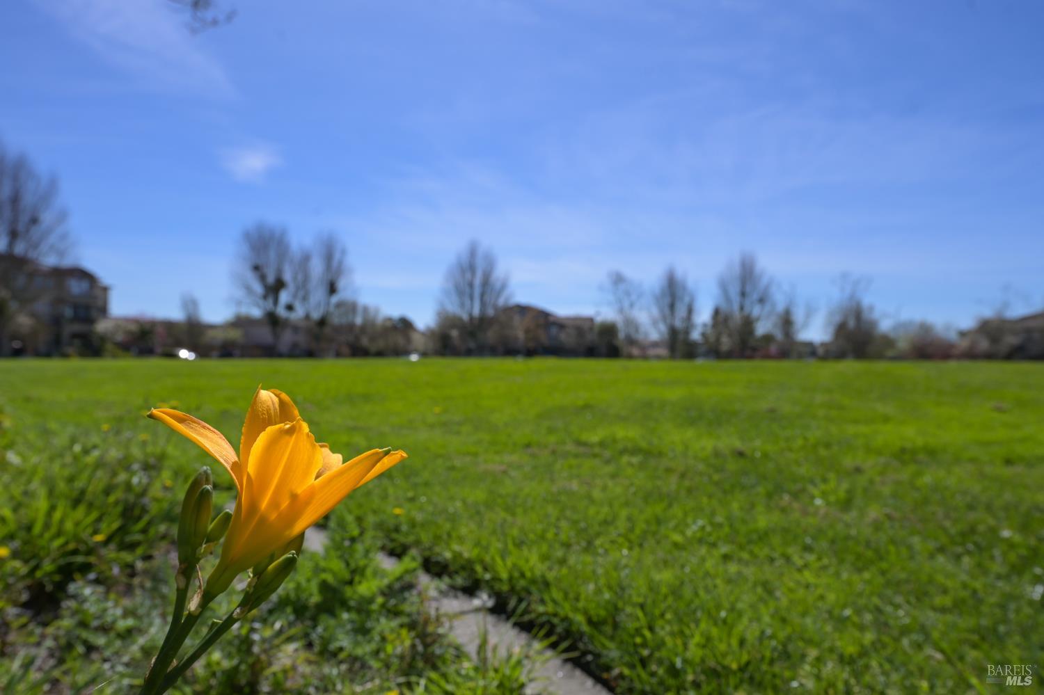 Detail Gallery Image 25 of 26 For 2835 Coleman Glen Ln, Santa Rosa,  CA 95407 - 3 Beds | 3 Baths
