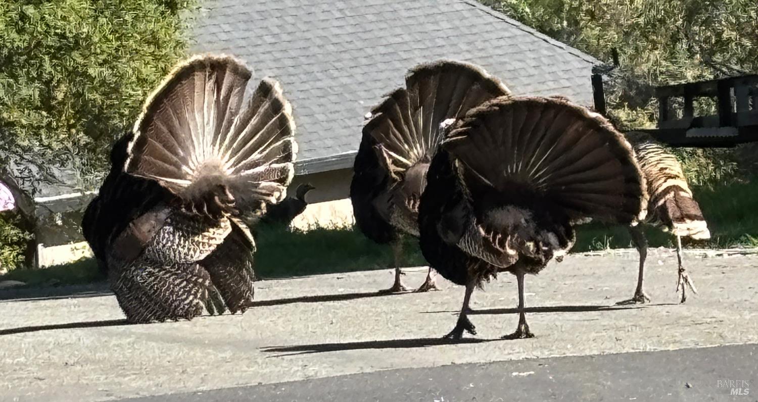 Detail Gallery Image 19 of 48 For 10 Ridgecrest Dr, Napa,  CA 94558 - – Beds | – Baths