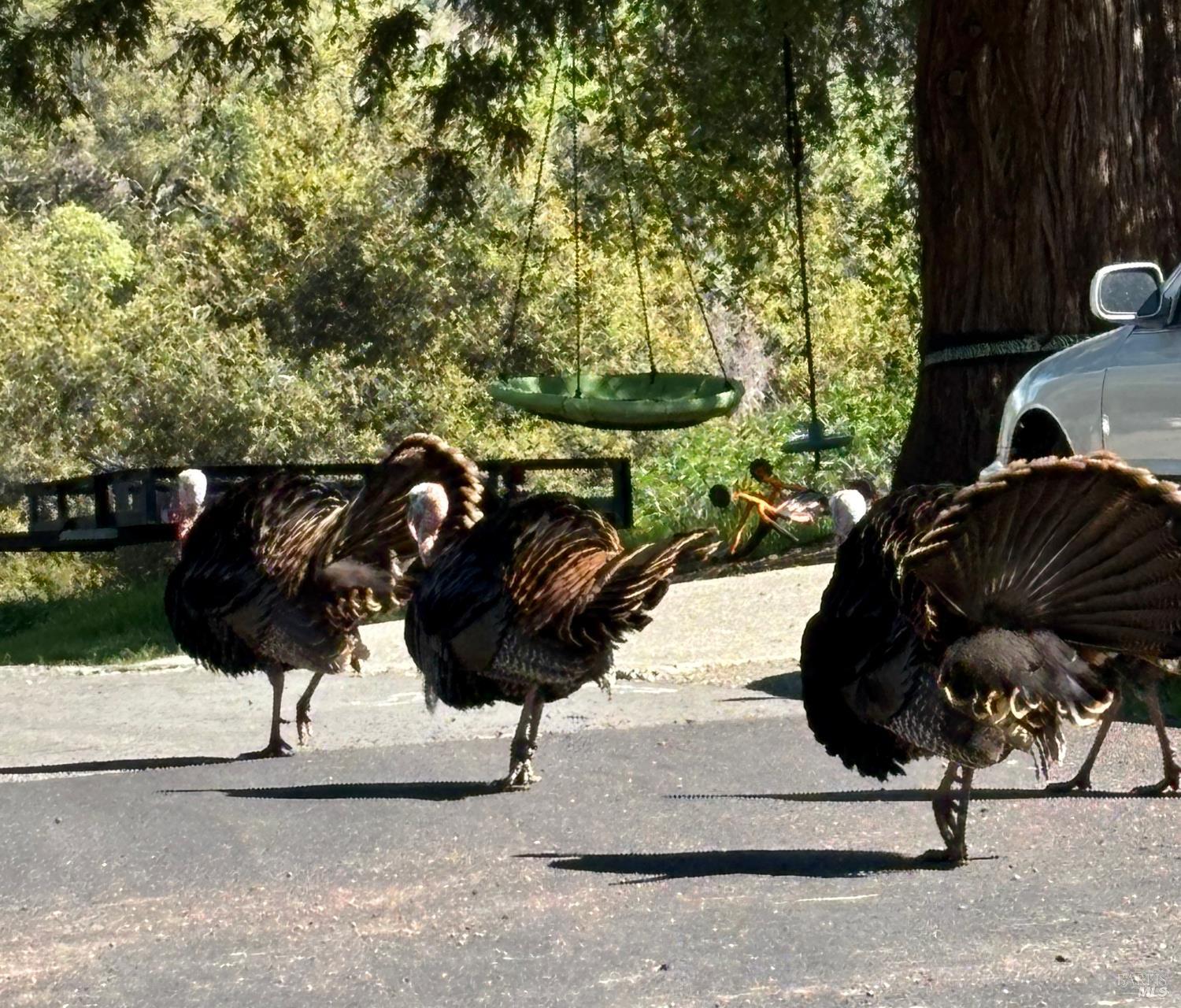 Detail Gallery Image 43 of 48 For 10 Ridgecrest Dr, Napa,  CA 94558 - – Beds | – Baths