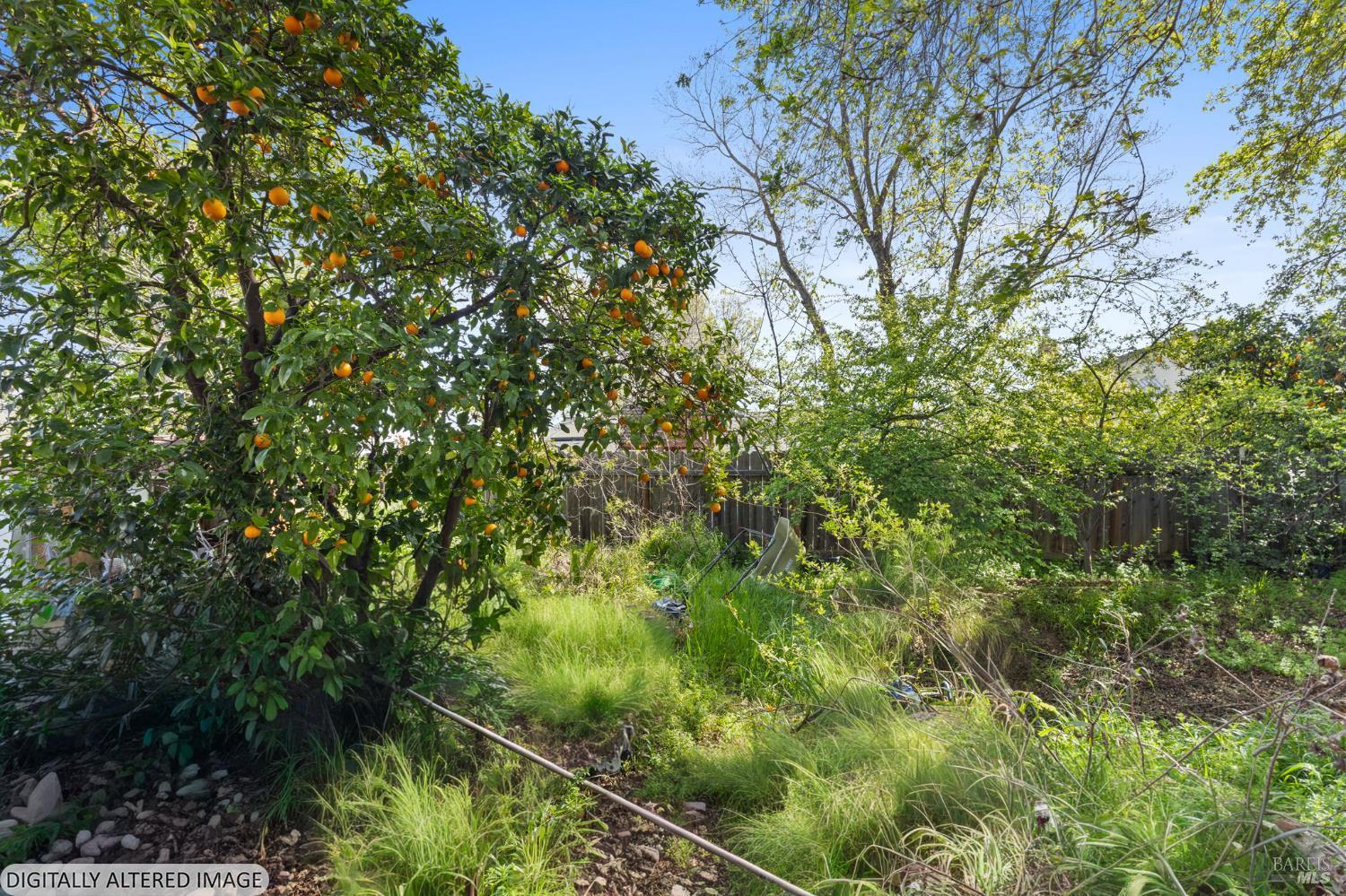 Detail Gallery Image 24 of 28 For 206 Millbrook Way, Vacaville,  CA 95687 - 5 Beds | 2/1 Baths