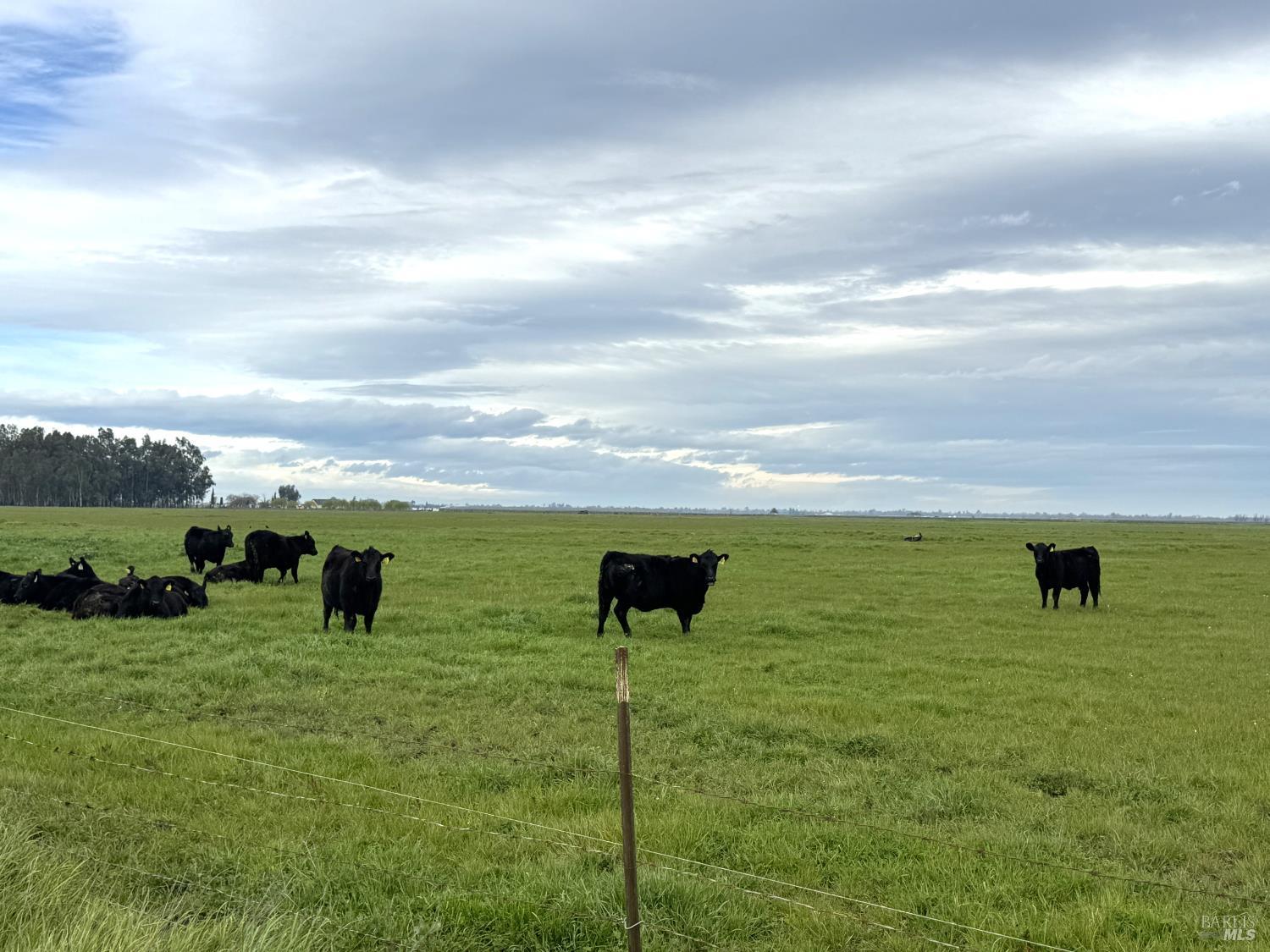 Detail Gallery Image 7 of 9 For 0 Hyde Rd, Dixon,  CA 95620 - – Beds | – Baths