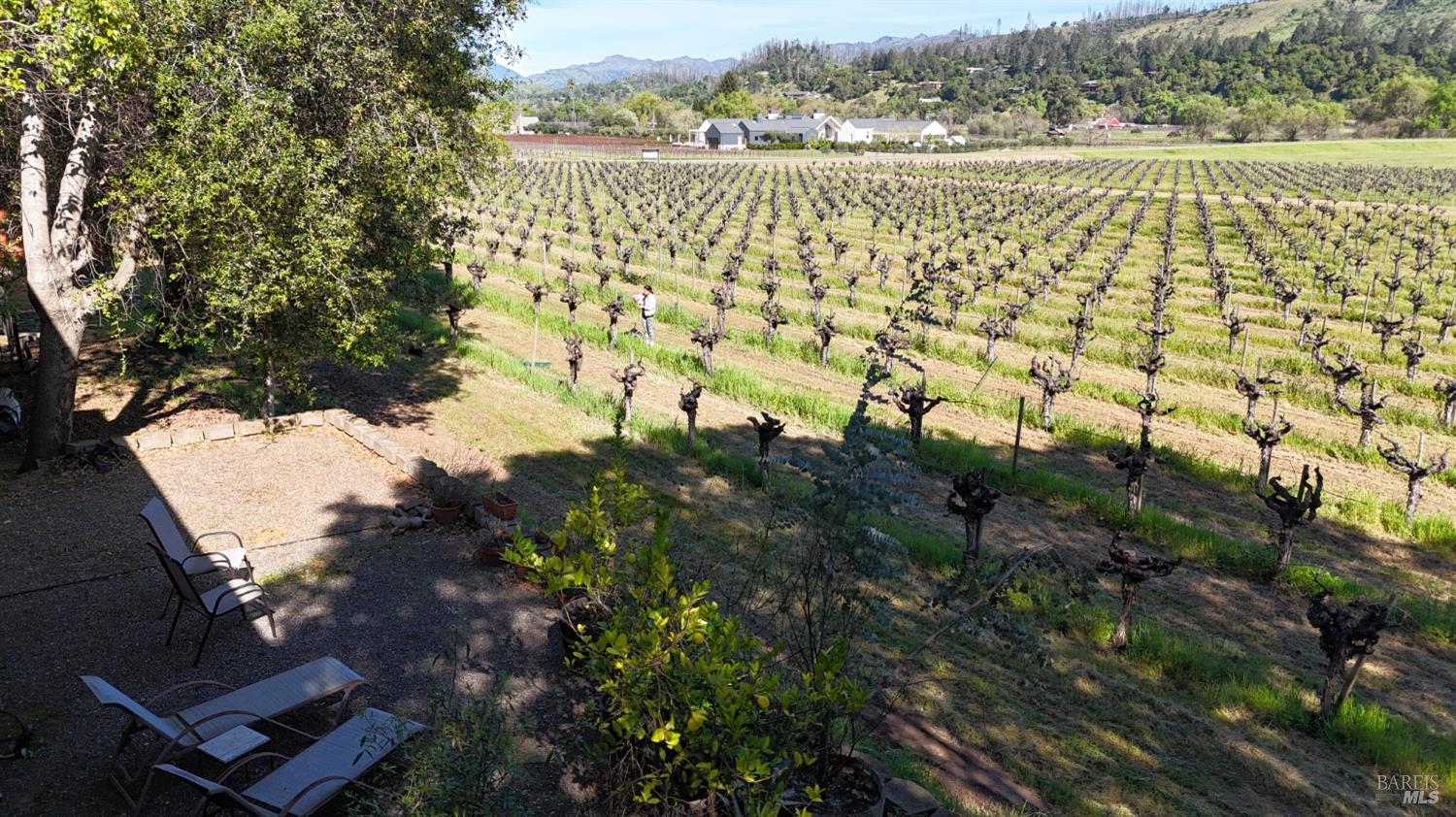 Detail Gallery Image 5 of 26 For 1328 Monte Vista Ave, Saint Helena,  CA 94574 - – Beds | – Baths