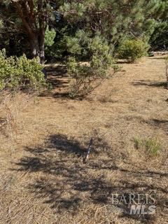 Detail Gallery Image 13 of 24 For 36359 Timber Ridge Rd, The Sea Ranch,  CA 95497 - – Beds | – Baths